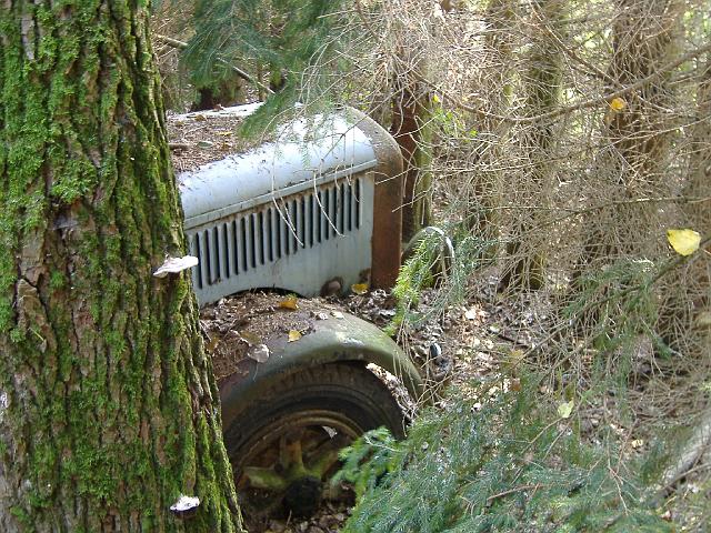 Autofriedhof - 119.JPG - Historischer Autofriedhof,    Gürbetal (CH)